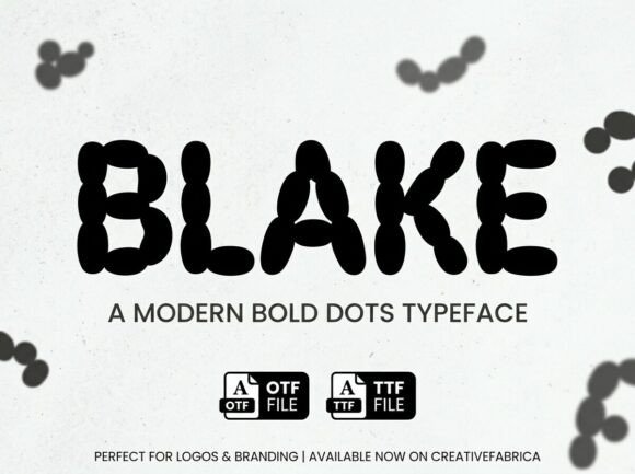 Blake: Elevating Visual Identity with Avant-Garde Typography